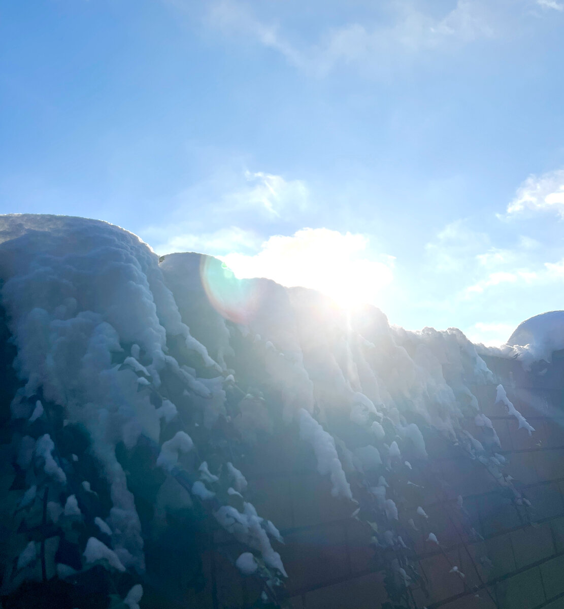 Богом нам дана свобода выбора ВОСПРИЯТИЯ мира