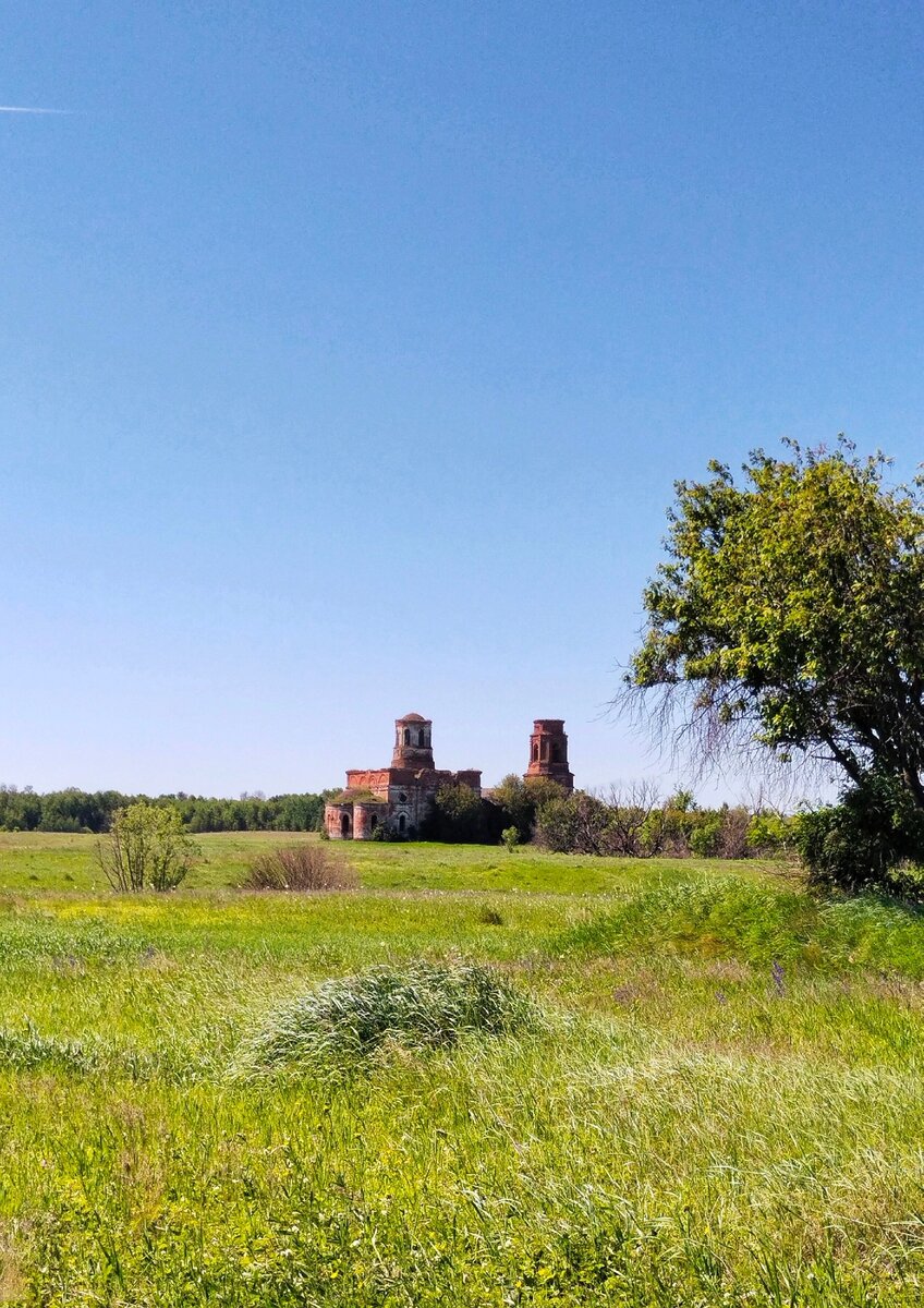 Никольская церковь и Каменский лес в 2022 году