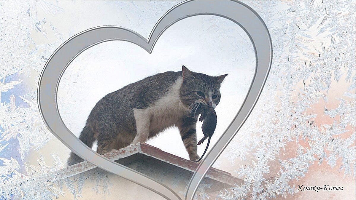 Всё в дом, всё в семью. 