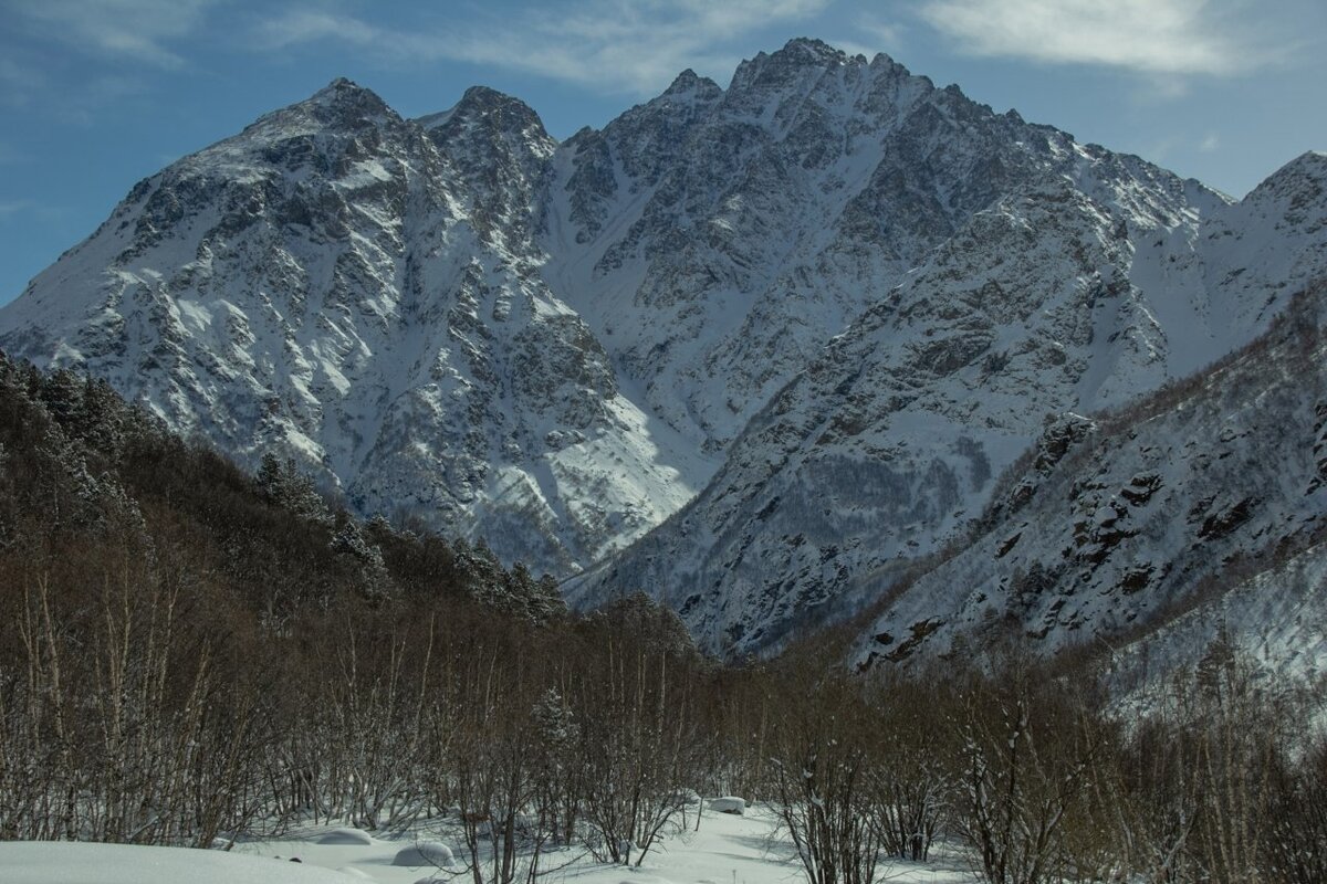 Р›РµРґРЅРёРє РђР»РёР±РµРє