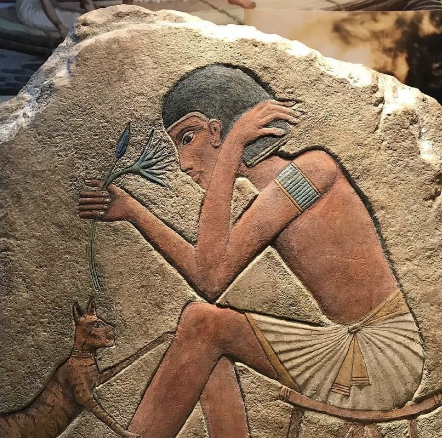 Голубой лотос - цветок мифического происхождения очень ценился в древности. Изображение: yatlina.com