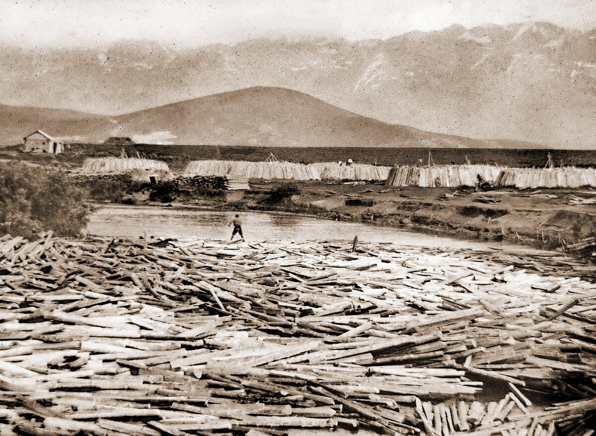 Излучина реки Журавлихи. 1912 г. Принимаемый лес. Автор фото не установлен.