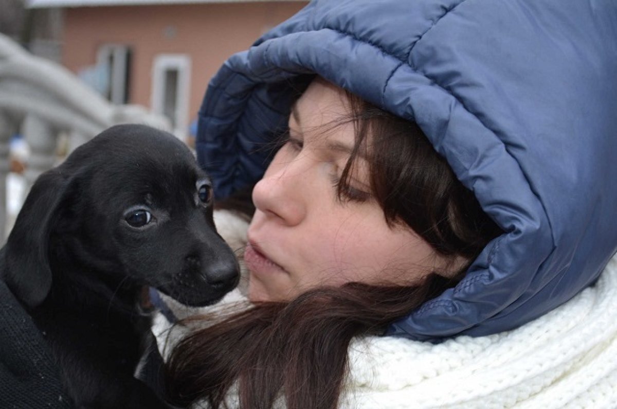   Петербуржцев приглашают помочь приюту для животных в ДНР