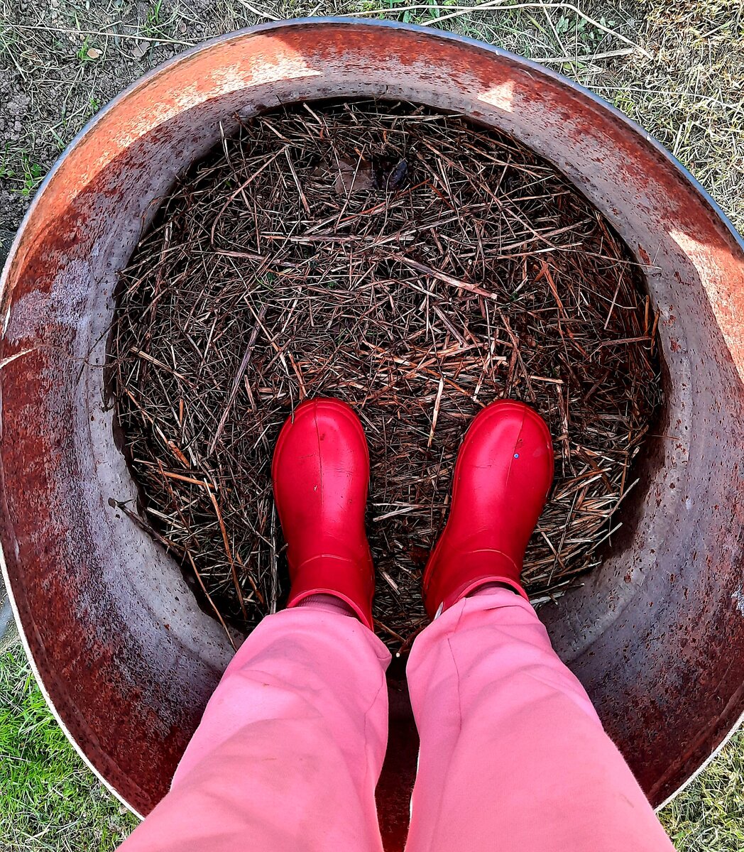 Фото автора. Утаптываю в бочках растительные остатки. Снаружи бочки ещё хуже.