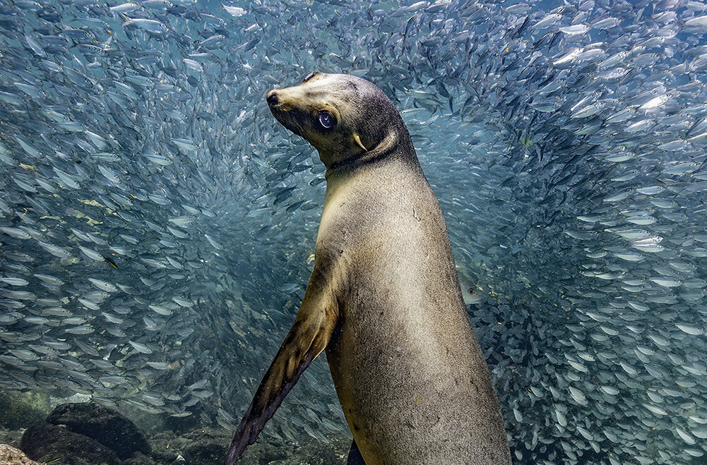    Фото: Glenn Ostle