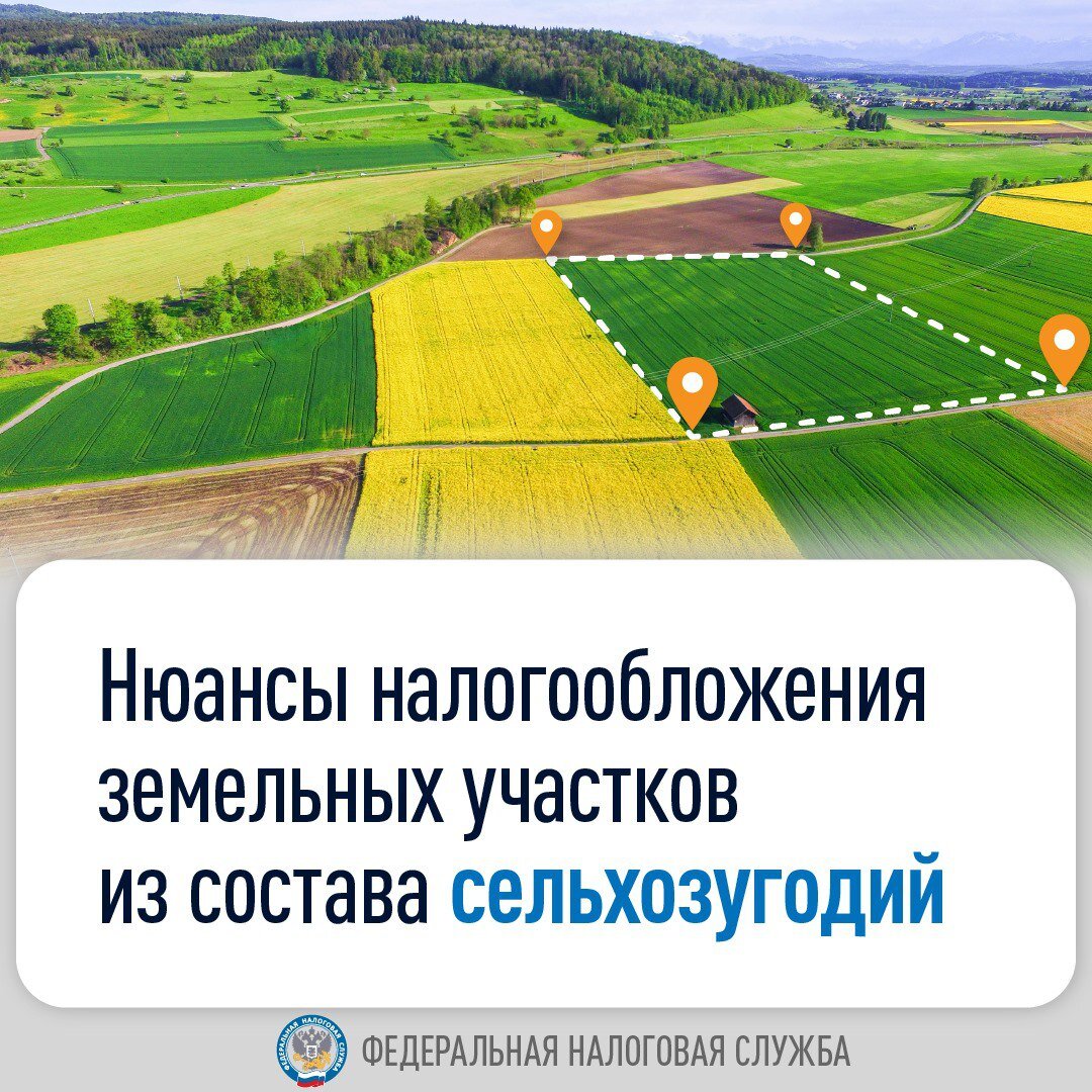 Предложить участок. Предложить участок