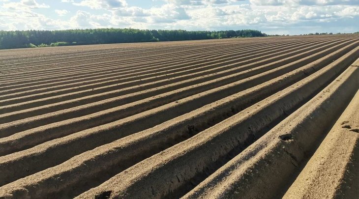    26 тонн средств защиты растений требуется сахалинским аграриям к новому сезону 2024