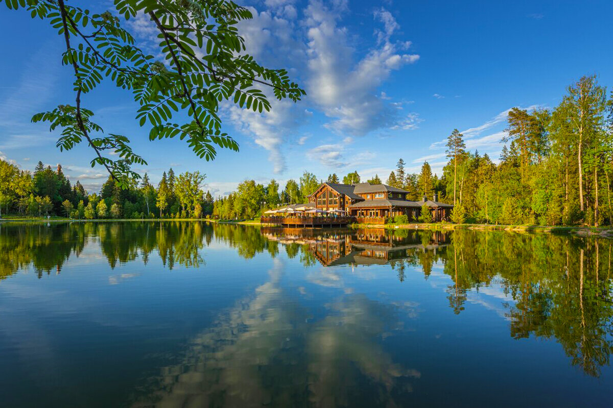 Cosmos Collection Izumrudny Les 5*