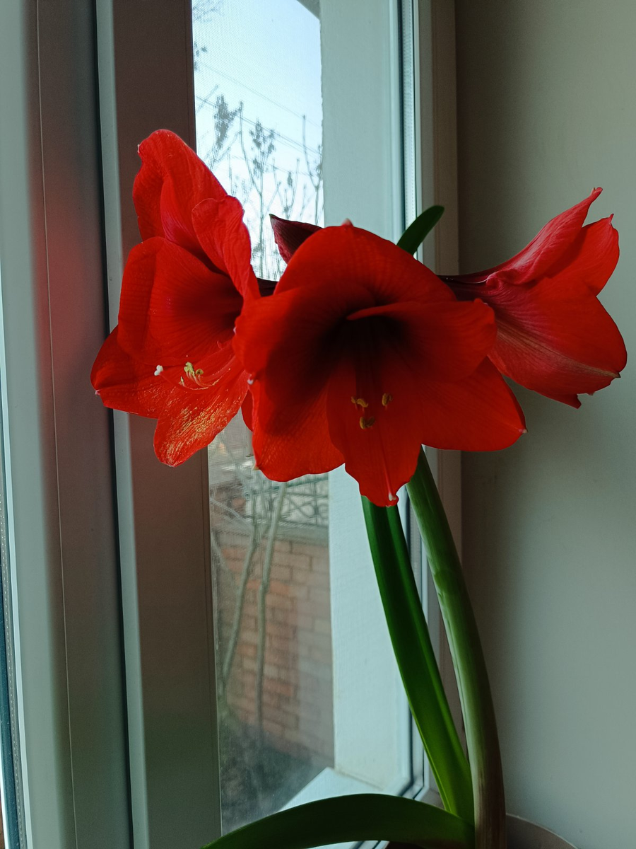 картинки о непочтении к отцу. третий сын ноя. один из трех сыновей ноя 3 буквы. непочтение родителей грех. один из трех сыновей ноя 3 буквы.