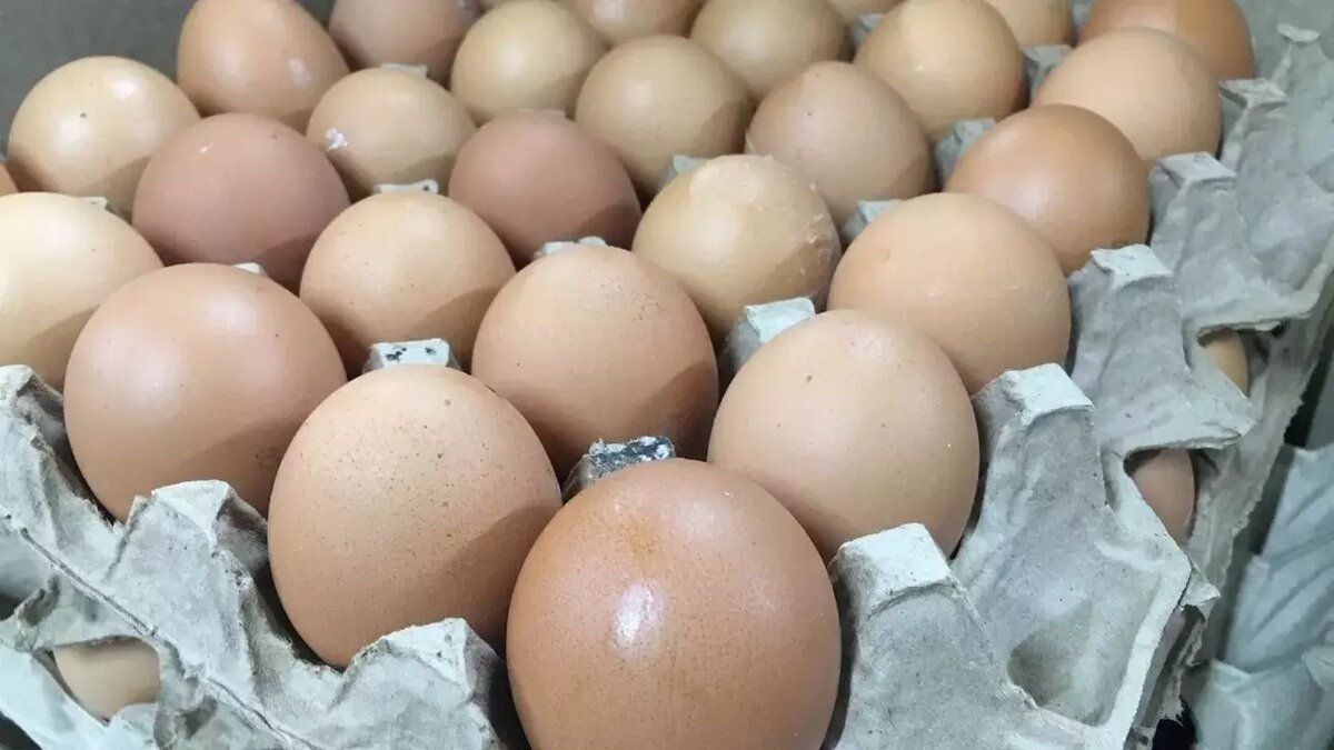     ГУФСИН по Нижегородской области планирует закупить 318 тысяч куриных яиц в скорлупе первой категории за 3,8 млн рублей. Такая информация размещена на сайте госзакупок.