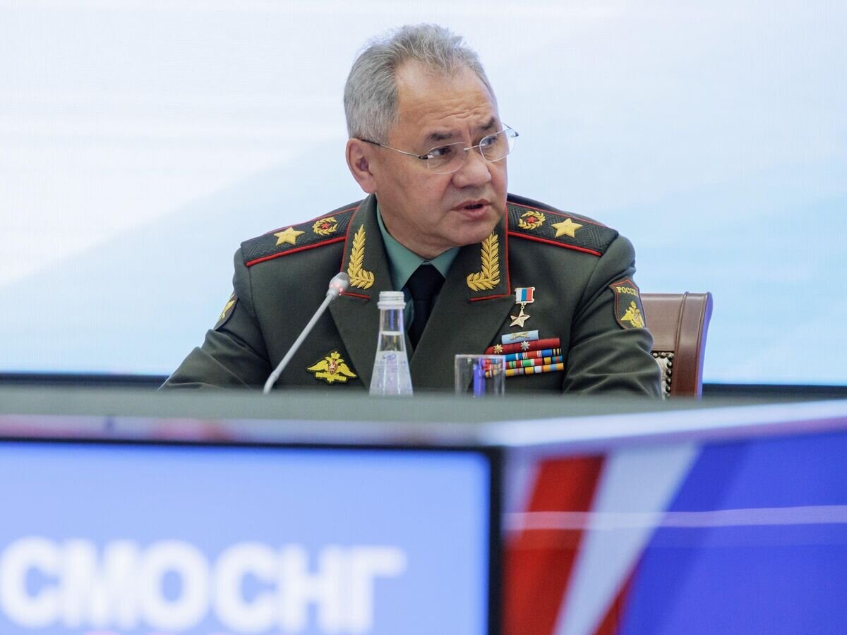    Министр обороны РФ Сергей Шойгу на заседании Совета министров обороны СНГ в Туле© РИА Новости / Пресс-служба Минобороны РФ