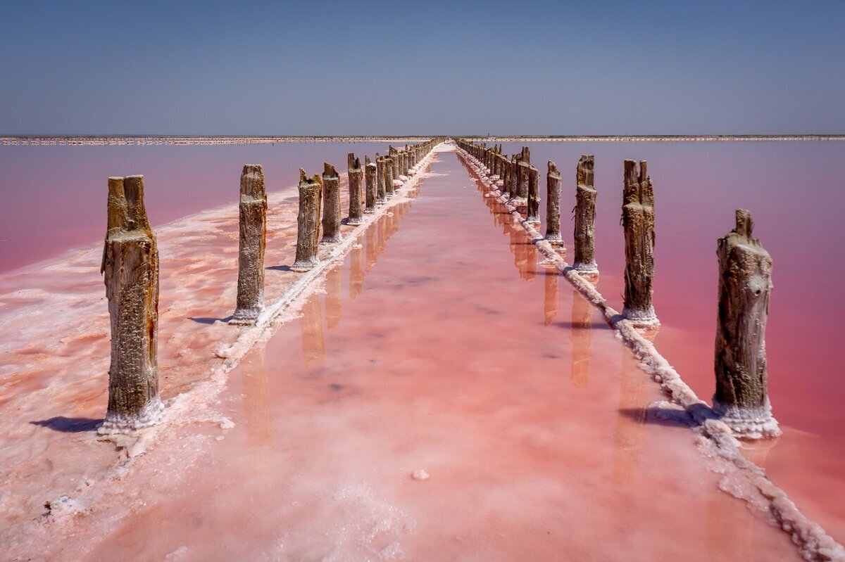 Розовое озеро саки