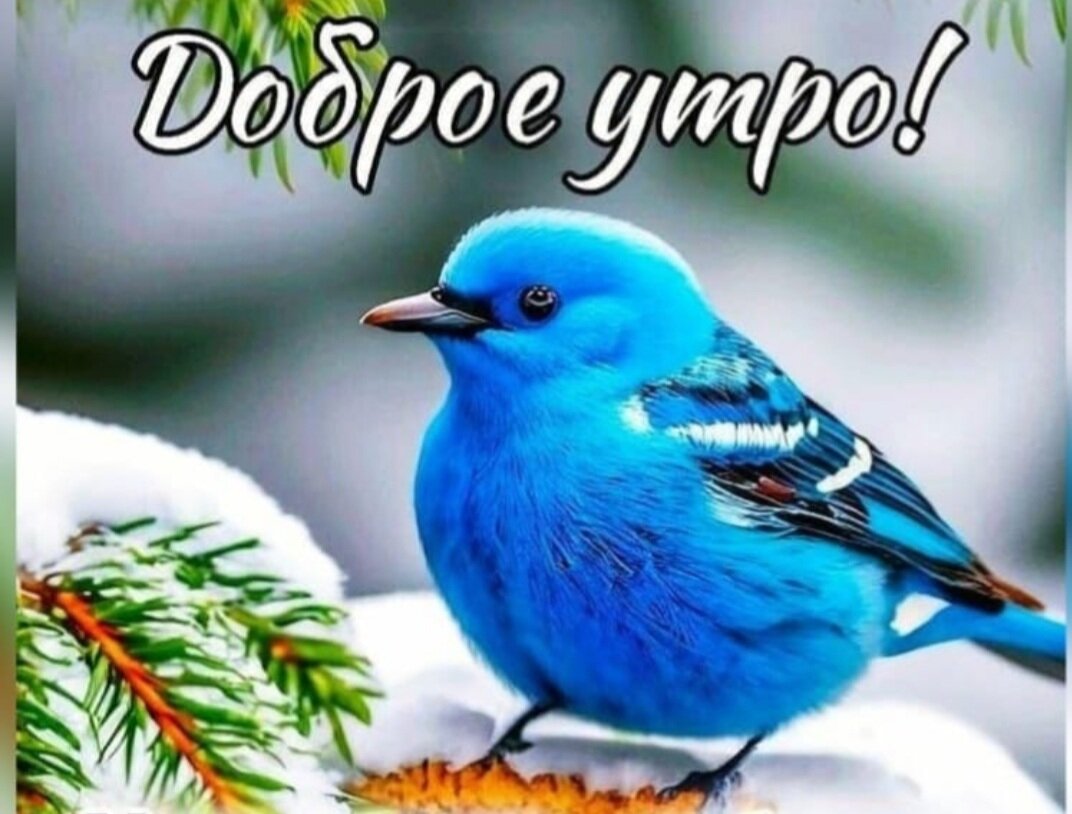 У меня что ни день, то праздник.