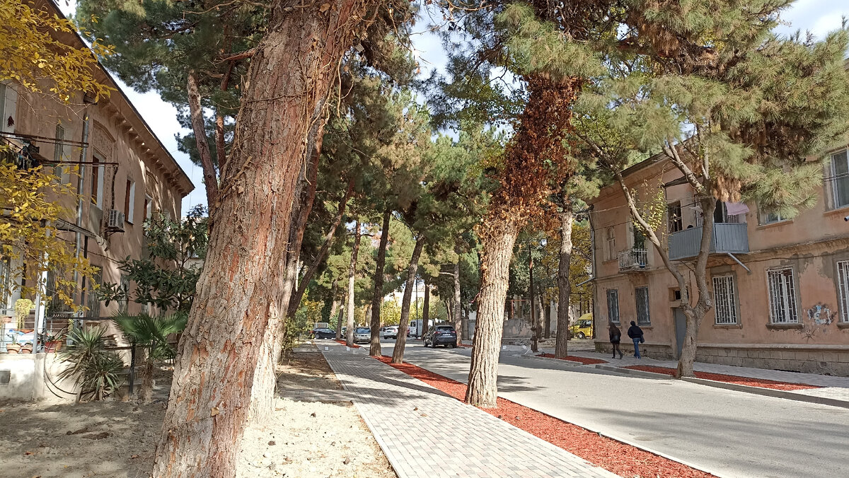 Старый Рустави в конце ноября 2023 г. Тишина и спокойствие, которые я так люблю 