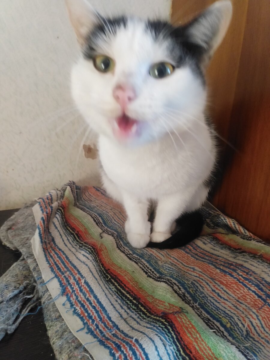 Нюся