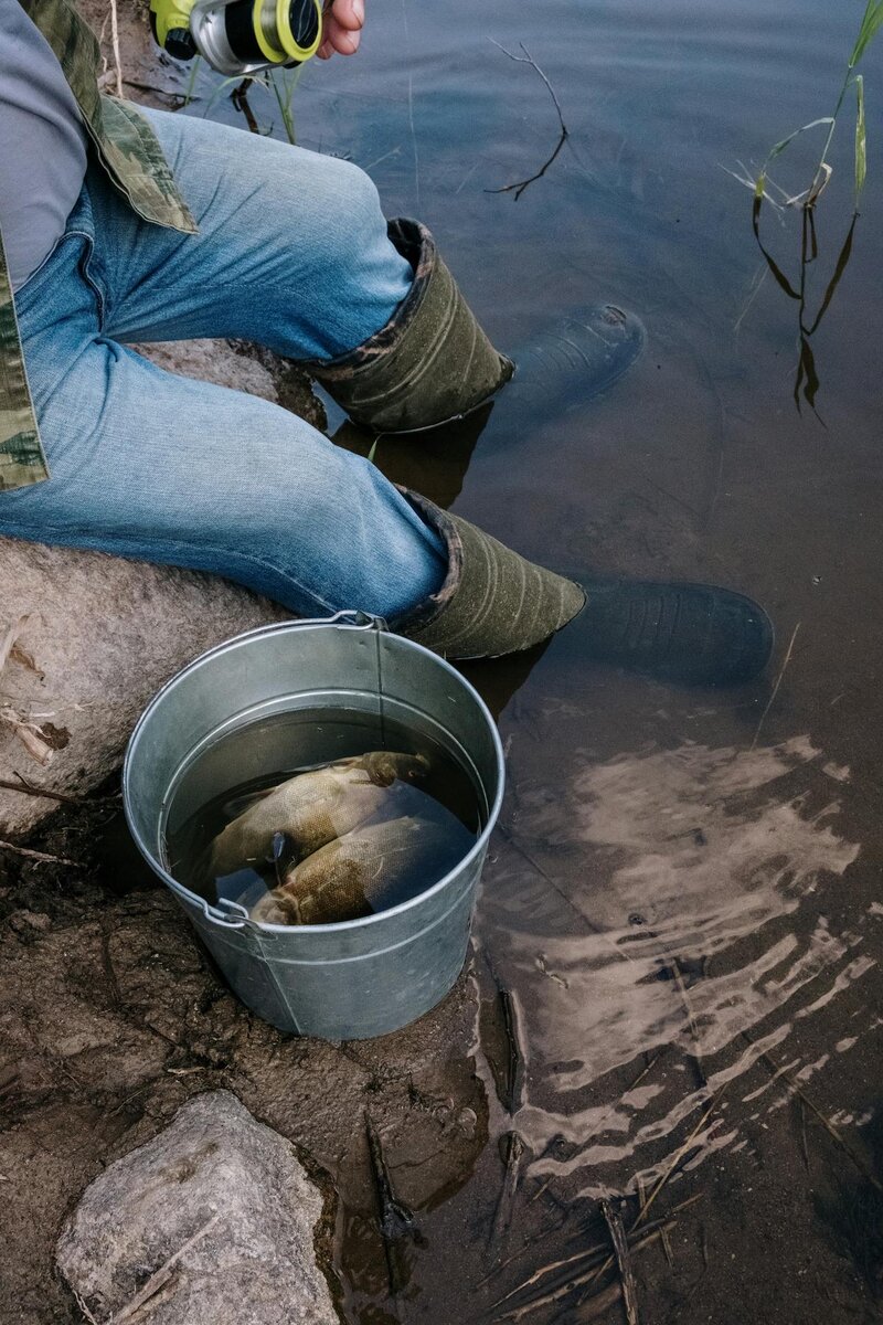 Фото из открытых источников