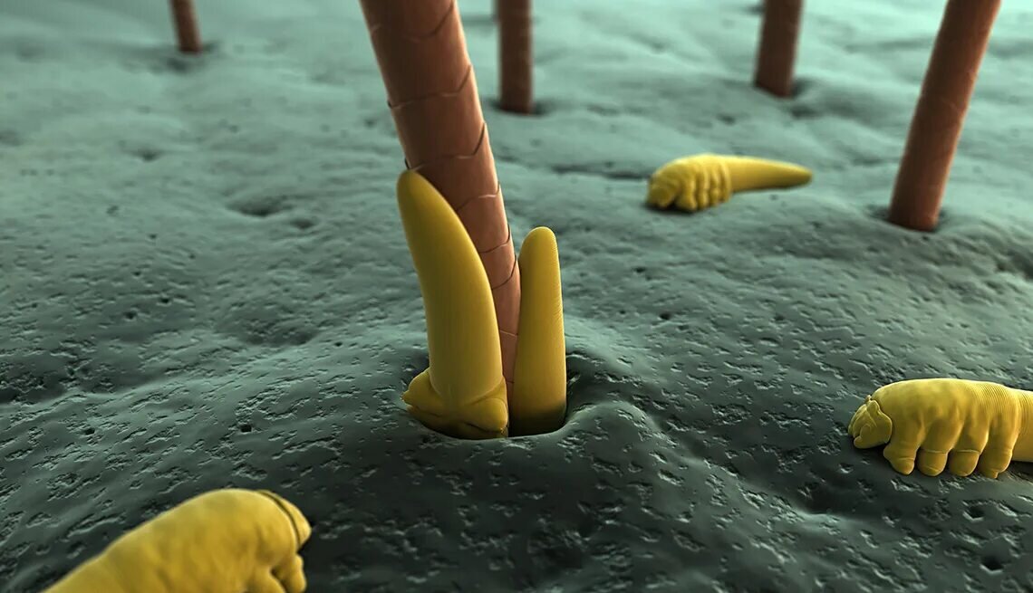 Фото из интернета