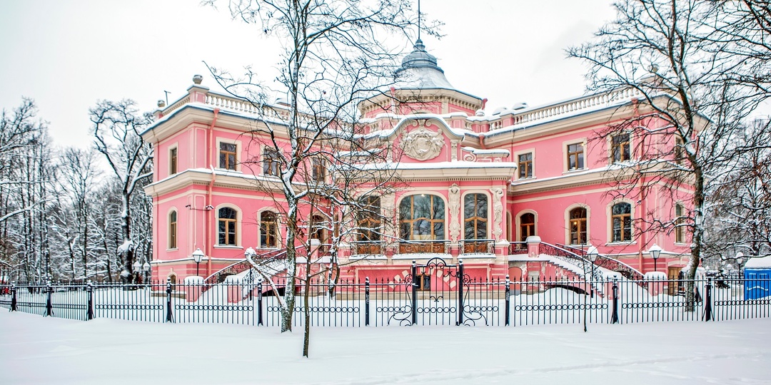 Дворцов много, а я один: 7 оптимальных экскурсий по архитектурным жемчужинам Петербурга