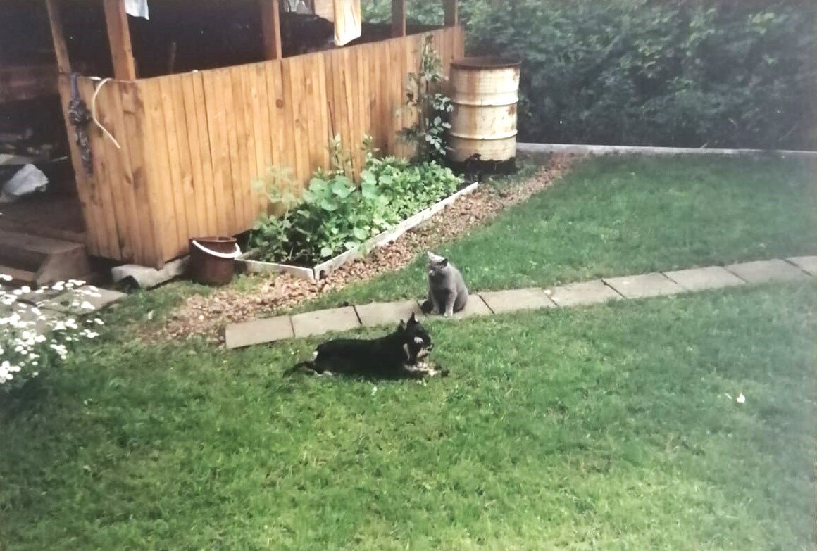 Дом и цветник за моей спиной, а впереди лужайка перед домом. 2005 год