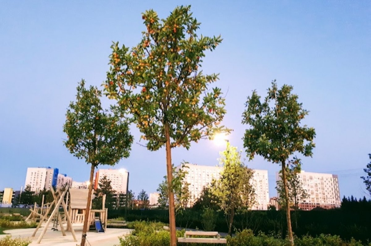    В Тюмени собрали предложения по благоустройству территорий на 2025 год