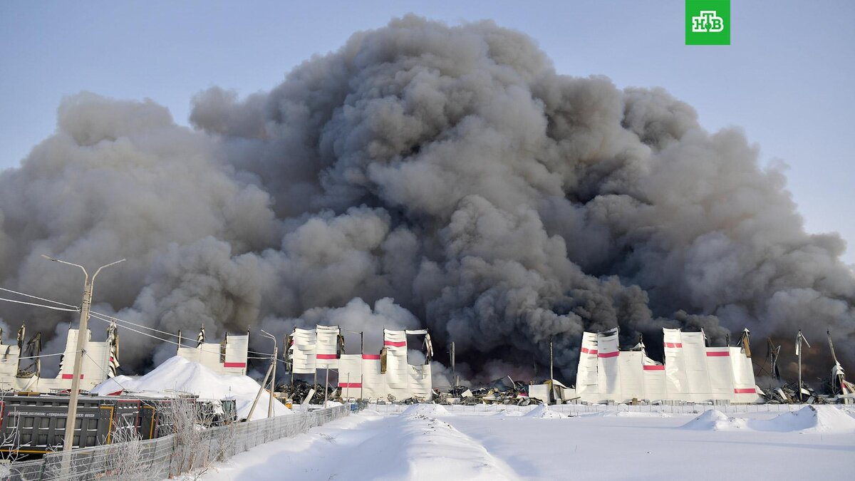    Фото: РИА Новости © 2024, Александр Гальперин