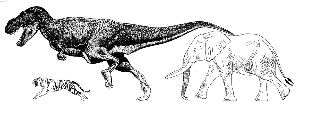 Стоковые фотографии по запросу Динозавр рисунок