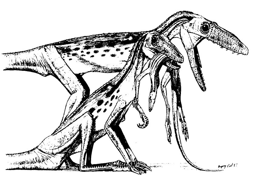Изображения по запросу Рисунок головы динозавра