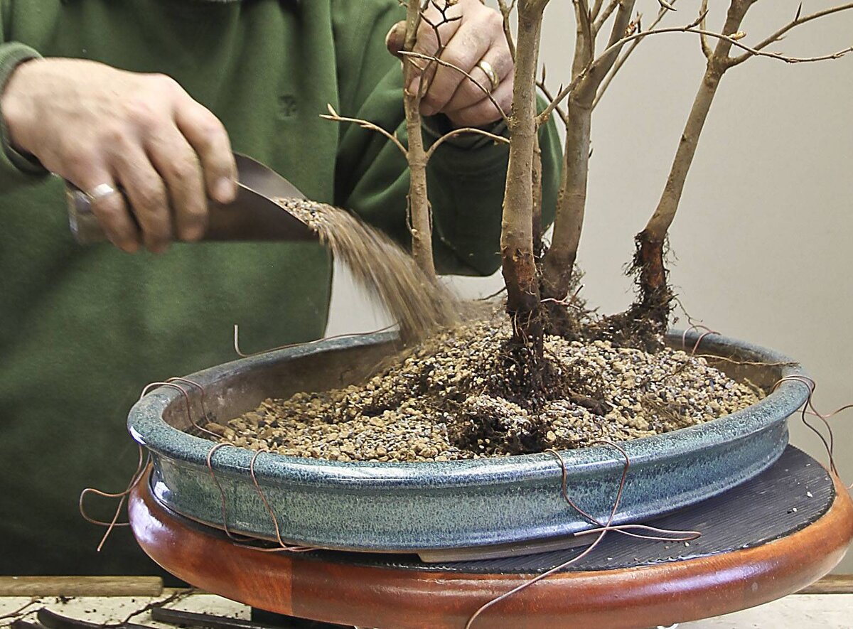 Какие искусственные деревья можно сделать своими руками