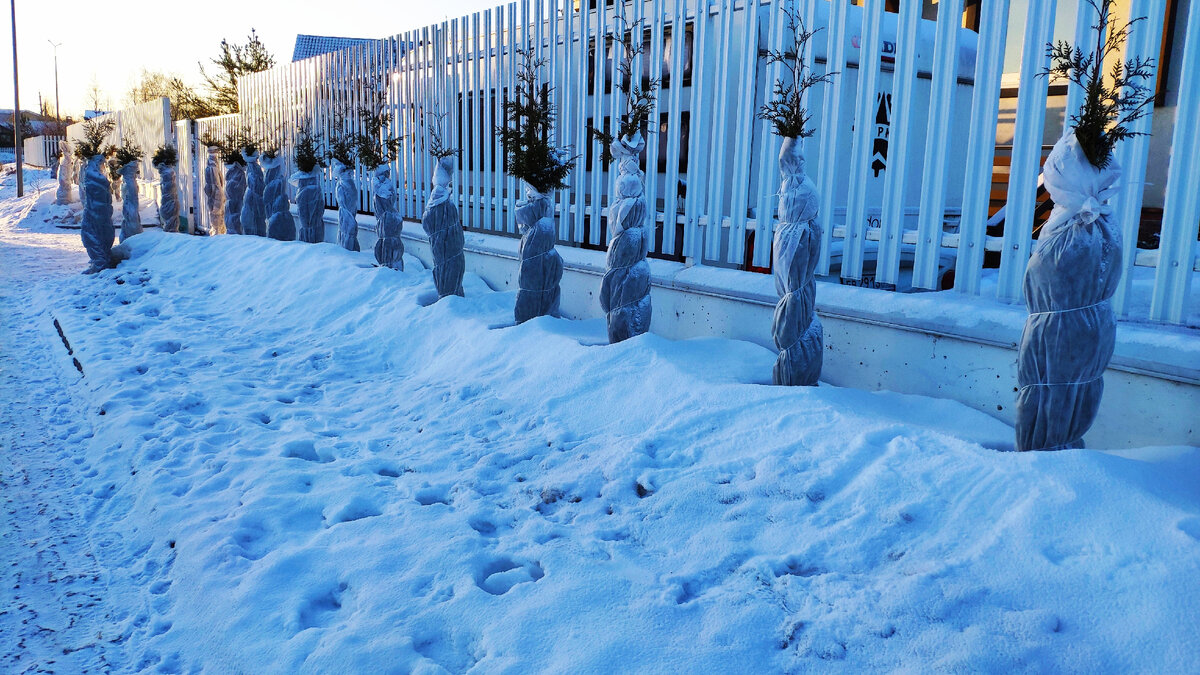 Загородная жизнь. Московская область, г.о. Домодедово
