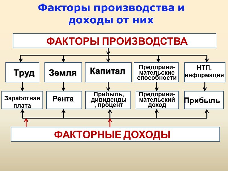 Экономика какие егэ