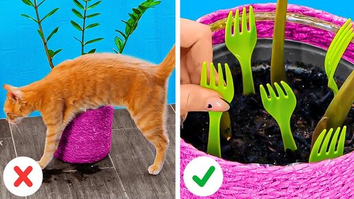 DIY 🐈 Как сделать ИГРУШКУ ДЛЯ КОТА из резинок ||| Лайфхаки для котов своими руками