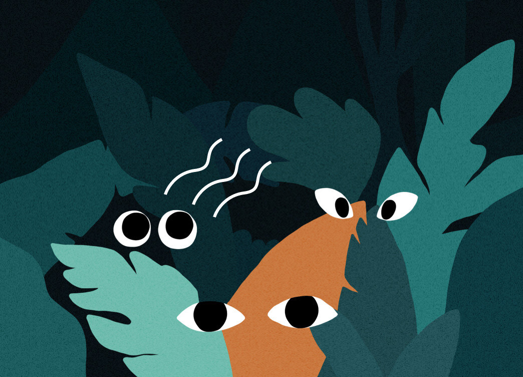    Угадай животное по звуку