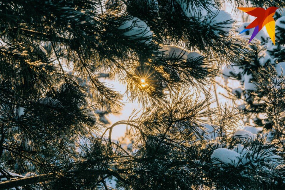    Если январские именниники поверят в себя, то у них все получится Мария Бакланова