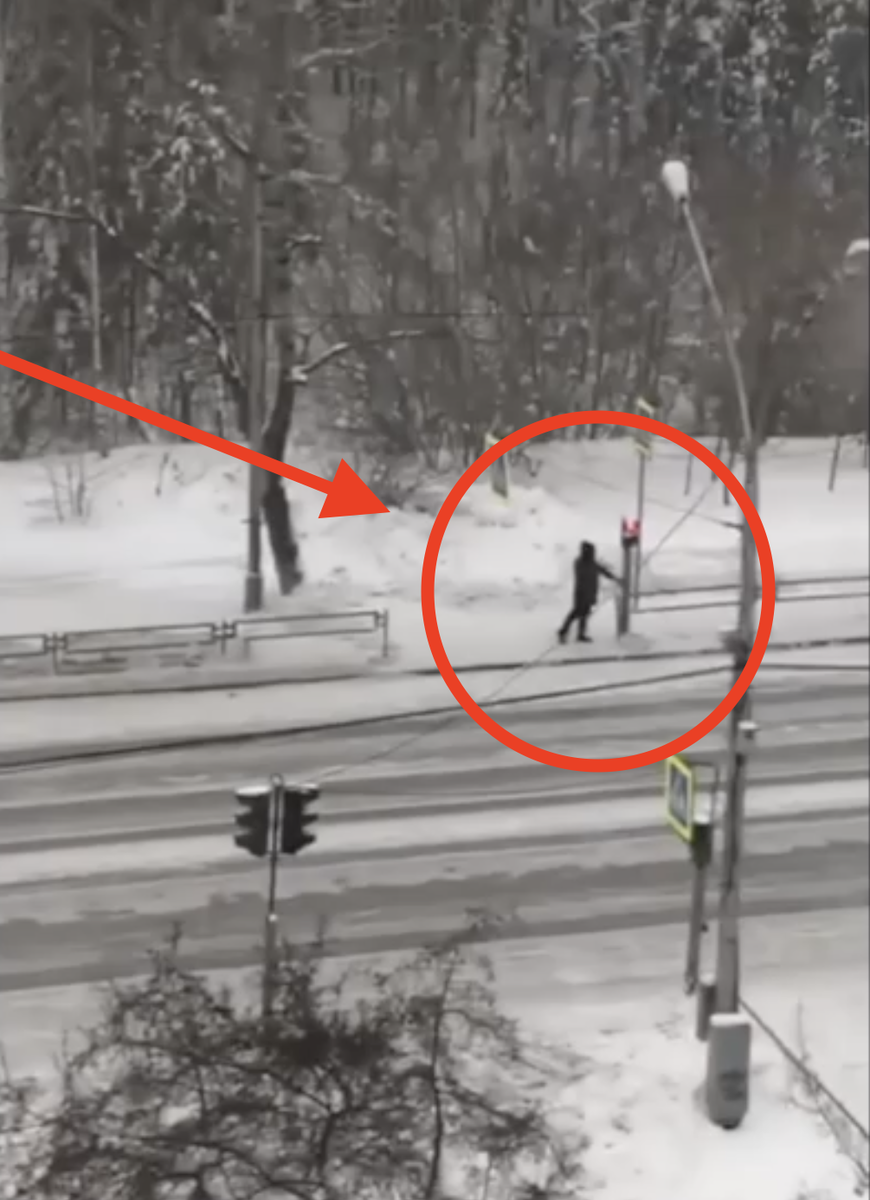 Вот он стоит на пешеходном переходе и в нужный момент нажимает кнопку светофора