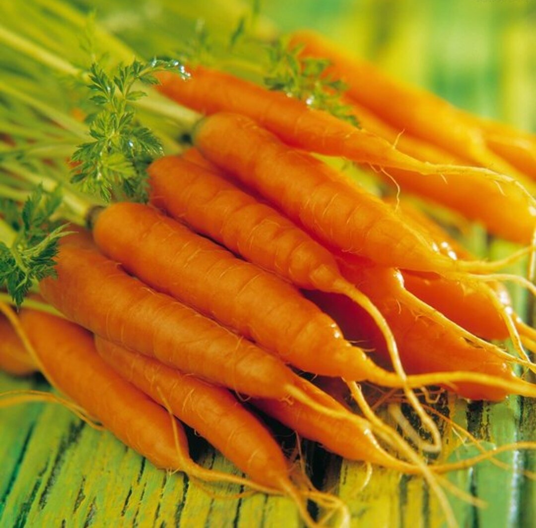 До морковкина заговенья что значит. Марковка. Морковкино заговенье. Морковкины заговины что это. Фестиваль моркови.
