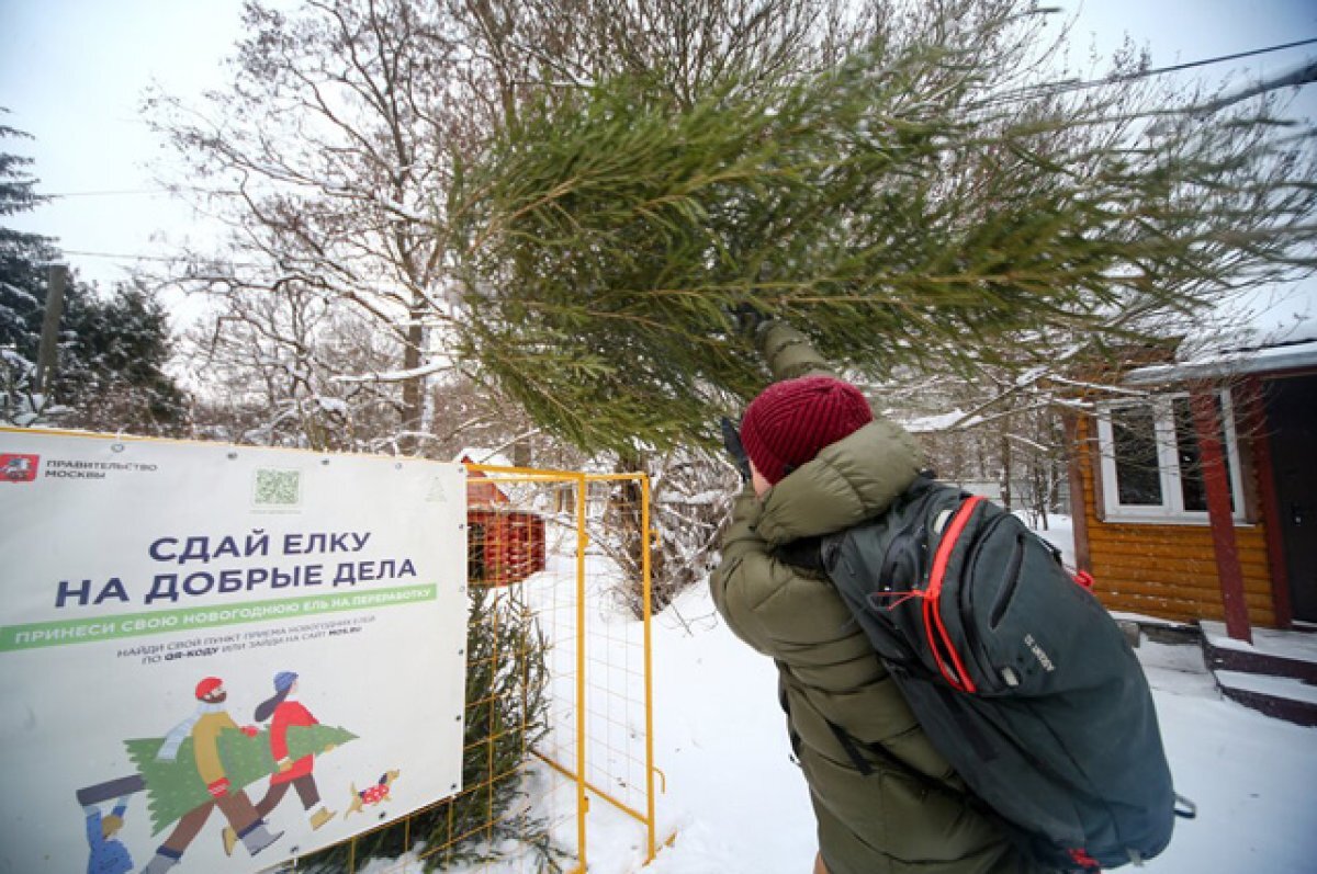    Услуга для ленивых.