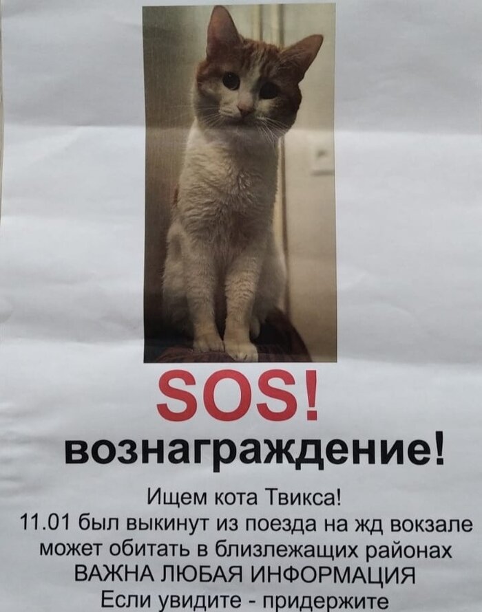 Банк данных киров. Банк данных киров