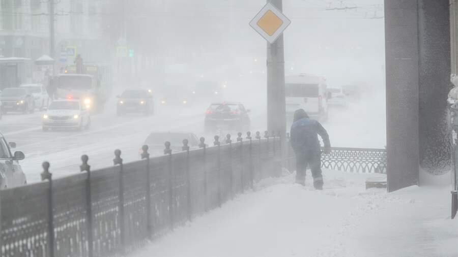 Фото: ТАСС/URA.RU/Вадим Ахметов