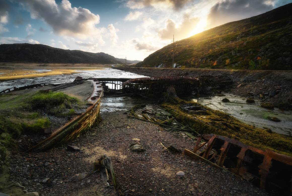 Фото: kurmyshov / Canva