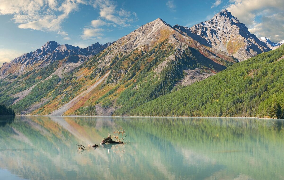 Фото: YURY TARANIK / Canva