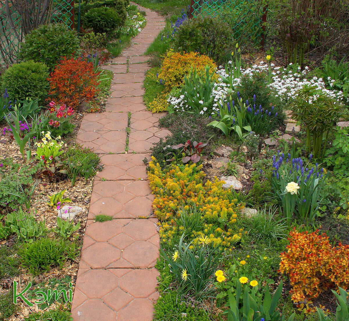Time garden