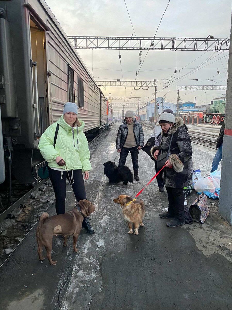 Ждут посадки на поезд.