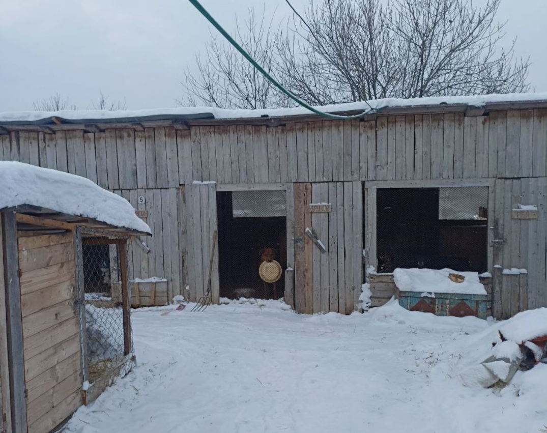 Здесь ее нет, не ищите