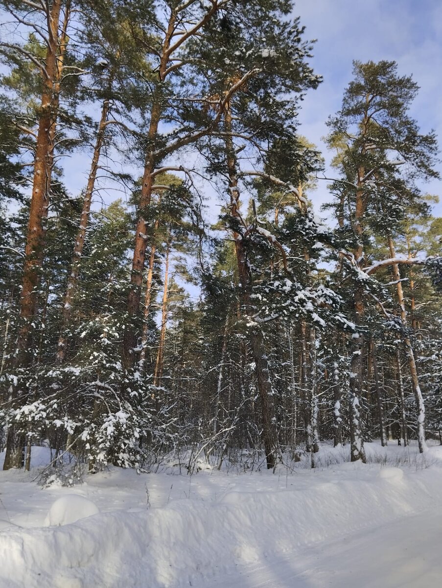 Природа. Фото автора.