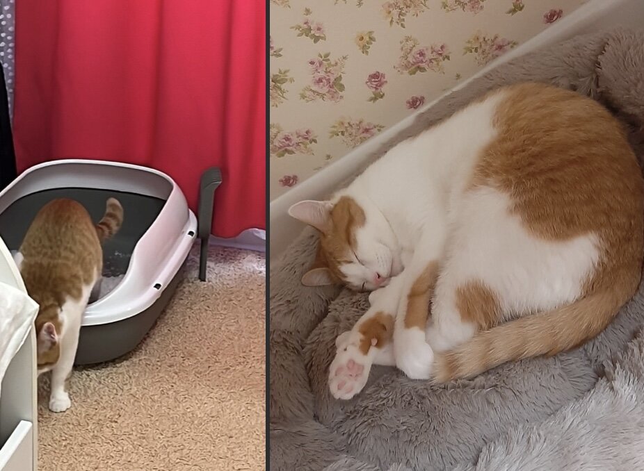 6 логотип. 6° !. сейчас 36 и 6. сейчас 36 и 6. 6 аптека интернет.