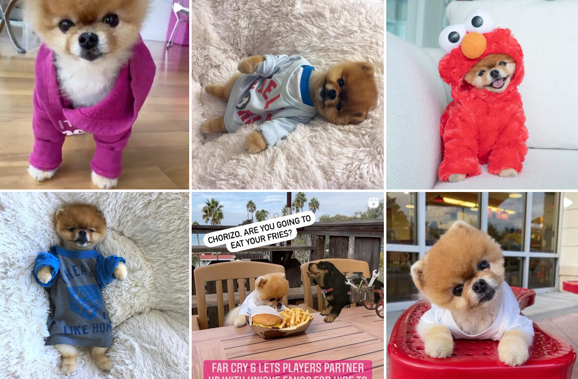 Как стать людям кошками. Цубаса ханэкава cosplay. Как стать людям кошками. Ханекава цубаса косплей. Hanekawa tsubasa косплей.