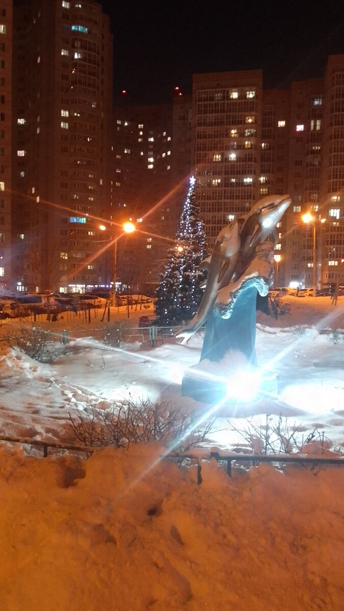 У нас сейчас зима