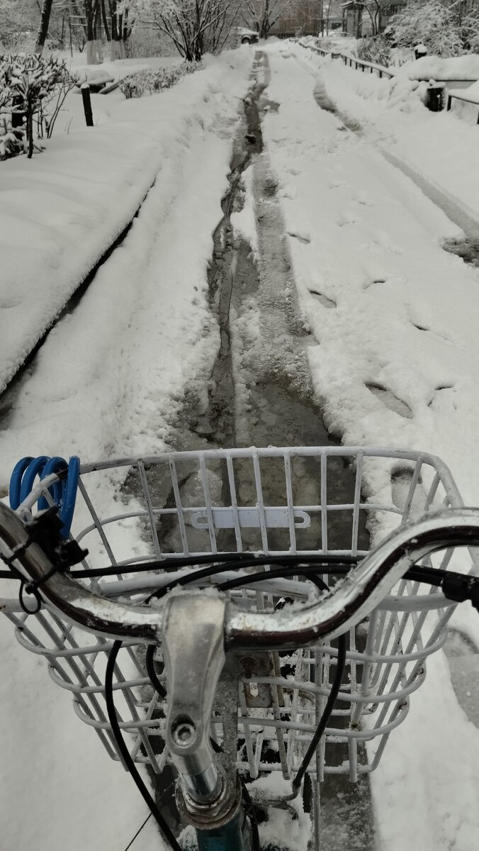 Работа в самокате курьером доставка самокат! Стимул работать в самокате! |  БОРОДА ЕДЕТ ВЕЛОПУТЕШЕСТВИЕ | Дзен