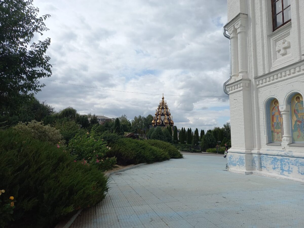 Воспоминания