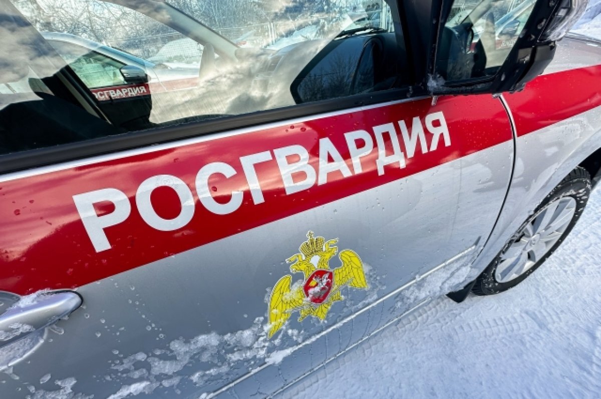    Безопасность пензенцев в крещенские купания обеспечат сотрудники Росгвардии